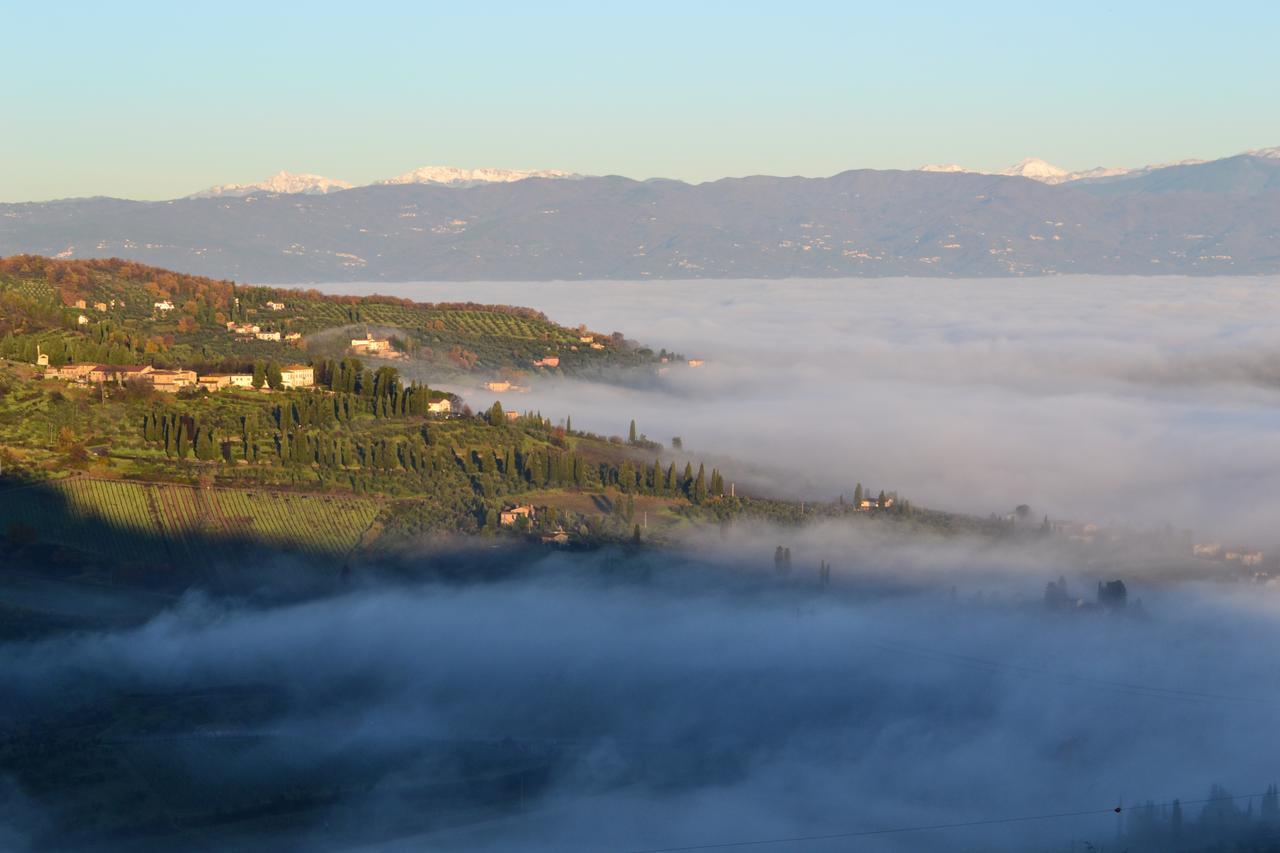 Tenuta Di Capezzana Bed and Breakfast Seano Exteriör bild