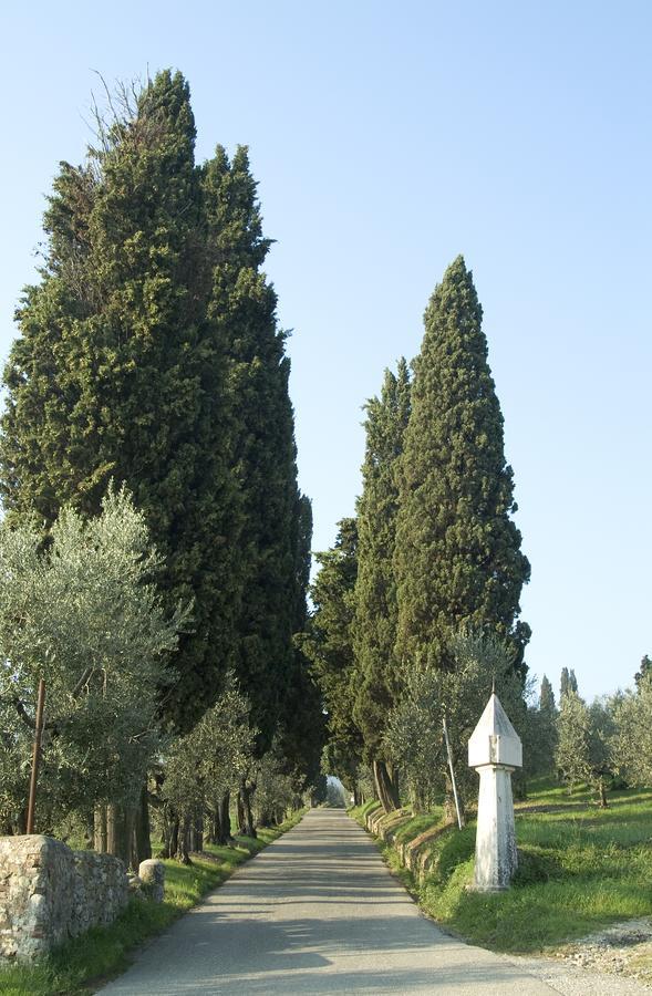 Tenuta Di Capezzana Bed and Breakfast Seano Exteriör bild